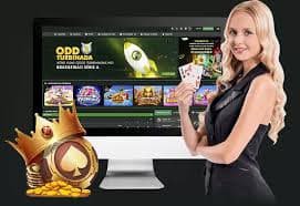 Payment methods display on sidni account settings for deposit and withdrawal